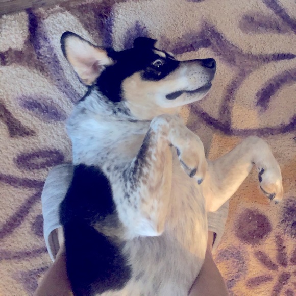 Meet your Posher, C.R.M - Picture 1 of 6